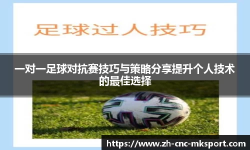 MK体育官方网站